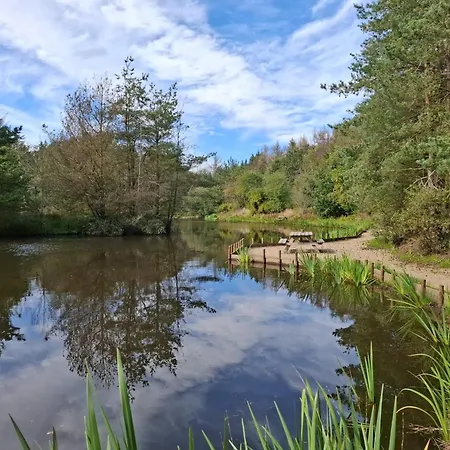 Дом отдыха 6 Person In Oksbol-by Traum Oksbol (Syddanmark)