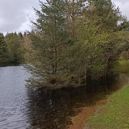 Дом отдыха 6 Person In Oksbol-by Traum Oksbol (Syddanmark)